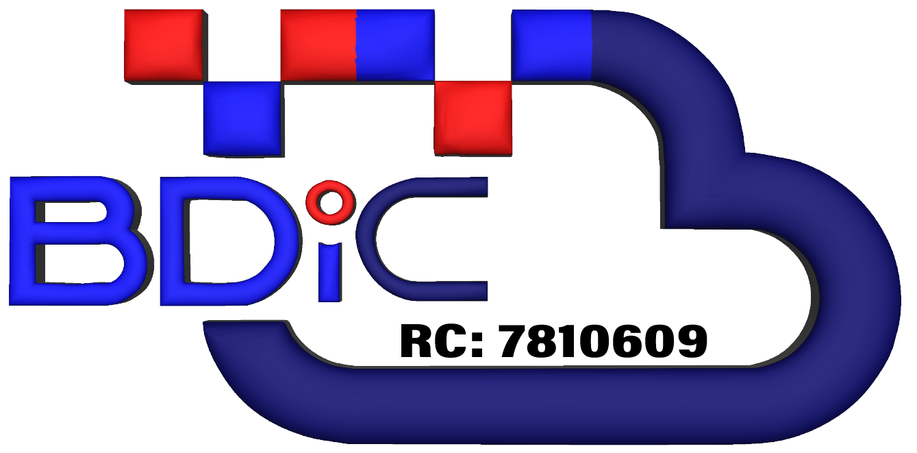 BDIC Logo
